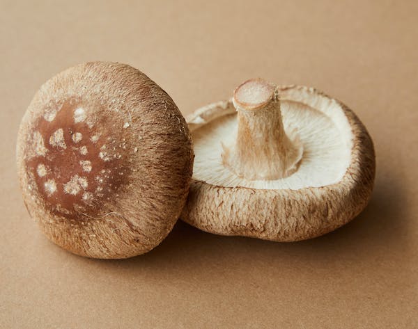 top mushroom gummy